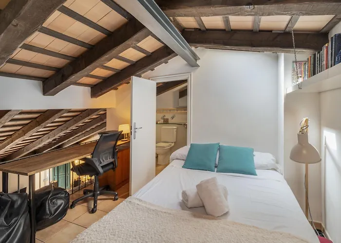 Διαμέρισμα Duplex En El Barri Vell, Χιρόνα